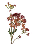 The 24.5" Angelica Flower Stem by Faire features reddish-brown blooms and green leaves, ideal for home decor. Single stem, clustered blossoms, isolated on white background.