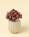 A Ranunculus Bouquet by Faire features small, pinkish-maroon flowers arranged in a white, textured ceramic vase from our Decorative Vases collection, set against a plain light beige background.