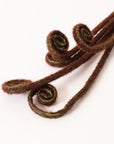 Four Fair Fiddle Head Fern stems with spiral curls by Bungalow add natural detail, shown on a plain white background.