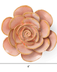 The Faire Peach Pink Cloni Ranunculus ceramic succulent sculpture, shaped like a rosette, is shown against a white background. Ideal as ceramic flowers for personalized gifts, it measures 4" x 4".