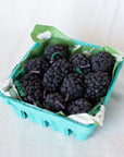 A teal carton with a green paper lining holds Faire’s Blackberry Beeswax Candles, inspired by the look of fresh blackberries, and sits on a light-colored surface.