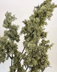 33-inch sage green faux moss spray with a realistic textured stem by Bungalow Furniture & Accessories.