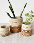 Set of three Mkongo plant baskets by Faire on beige fabric, two holding green plants; minimal, natural decor style.