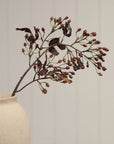 A cream ceramic vase holds dried dark leaves and Faire Hipericum Spray buds, creating understated home decor against a plain light background.