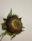 28″ faux sunflower stem with green petals and a textured dark brown center from Bungalow Furniture & Accessories.