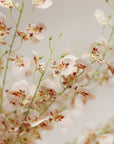 Pale pink wild orchid spray with red centers by Faire, elegant faux floral accent for home décor at Bungalow Furniture.