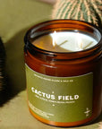 The Faire Cactus Field Candle, a brown glass musk candle with kiwi, citrus, tonka bean, and peach scents, burns beside two cacti on a green surface.