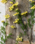 The Abigail Ahern Wild Dill artificial stem features yellow blooms with green leaves, styled on a rustic wooden surface beside aged paper, creating a natural, vintage look.