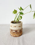 Mkongo Plant Basket by Faire with a small green plant on a textured surface, minimal white wall backdrop.