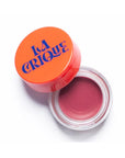 An open round container of mauve-tinted lip balm and blush from Faire, labeled "02-Tinted Lip Balm & Blush," with an orange lid, viewed from above on a white background.