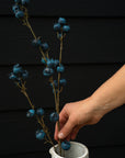 A hand arranges the realistic Indaba Blueberry Branch, ideal as faux flowers or accent décor, into a white ceramic pitcher set against a dark, textured backdrop.