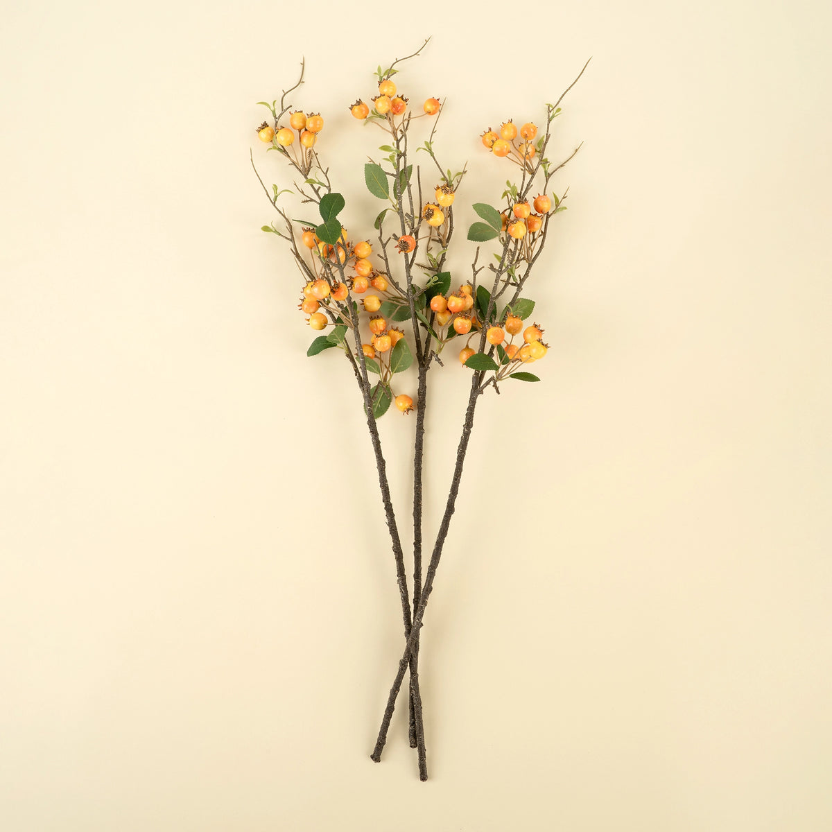 Tall rosehip branches with orange stems, berries, and leaves by Bungalow Furniture on a beige background.