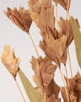 Brown Buds Floral Pick by Bungalow Furniture & Accessories featuring dried brown buds and green leaves in cottagecore style.