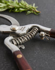 Close-up of Faire Thai Kitchen Garden Shears with wooden handles and sharp stainless steel blades, lying open on a dark surface. A sprig of rosemary rests nearby.