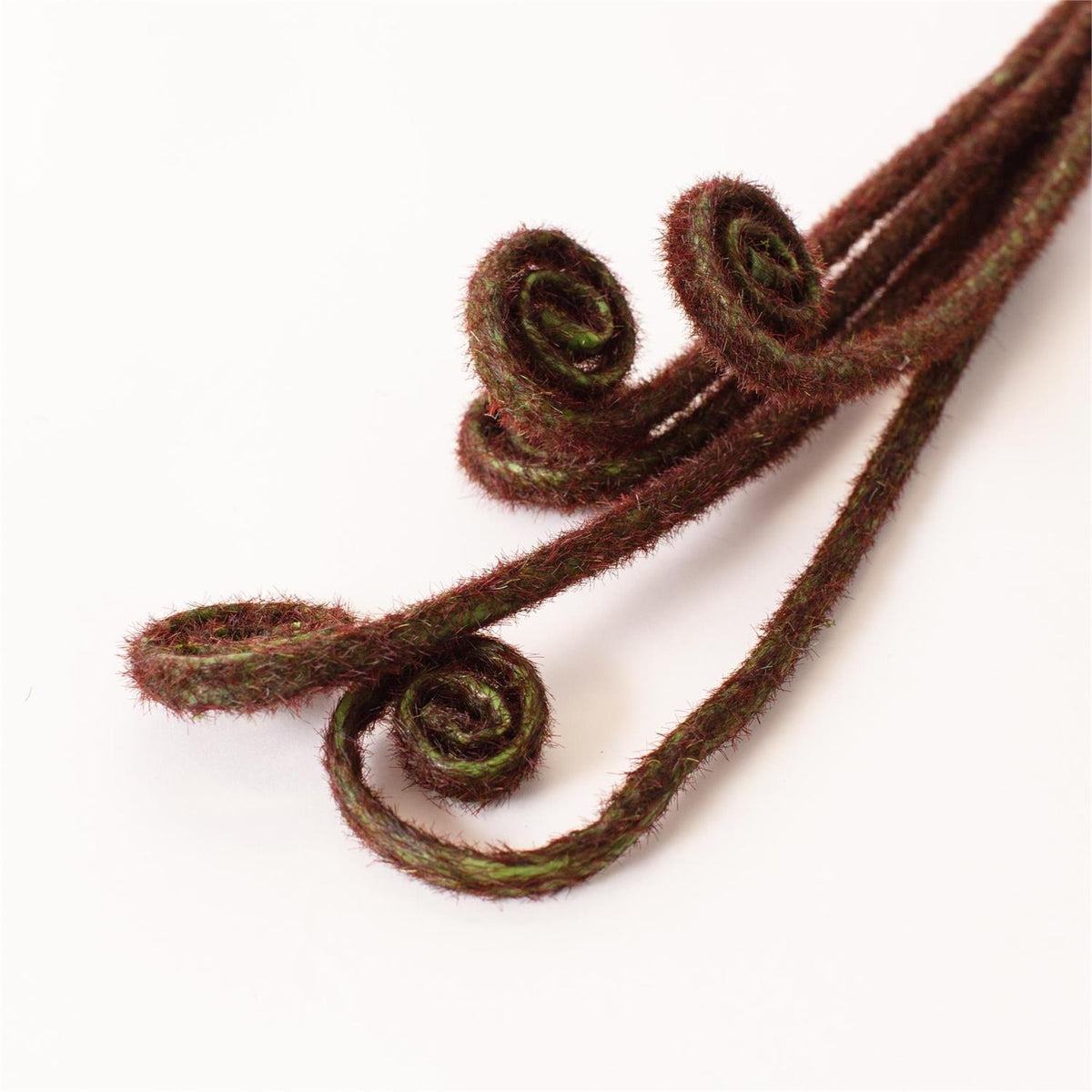 Four Fair Fiddle Head Fern stems with spiral curls by Bungalow add natural detail, shown on a plain white background.
