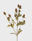 The Globe Amaranth Spray by Indaba features a sculptural stem adorned with clusters of brown flower buds and green leaves, set against a plain white background to highlight the beauty of realistic plants.