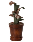 The Maileg Flower Pot by Maileg features a fabric plant with stitched green leaves and brown floral patterns in a small, round flower pot with matching saucer, displayed against a plain white background.