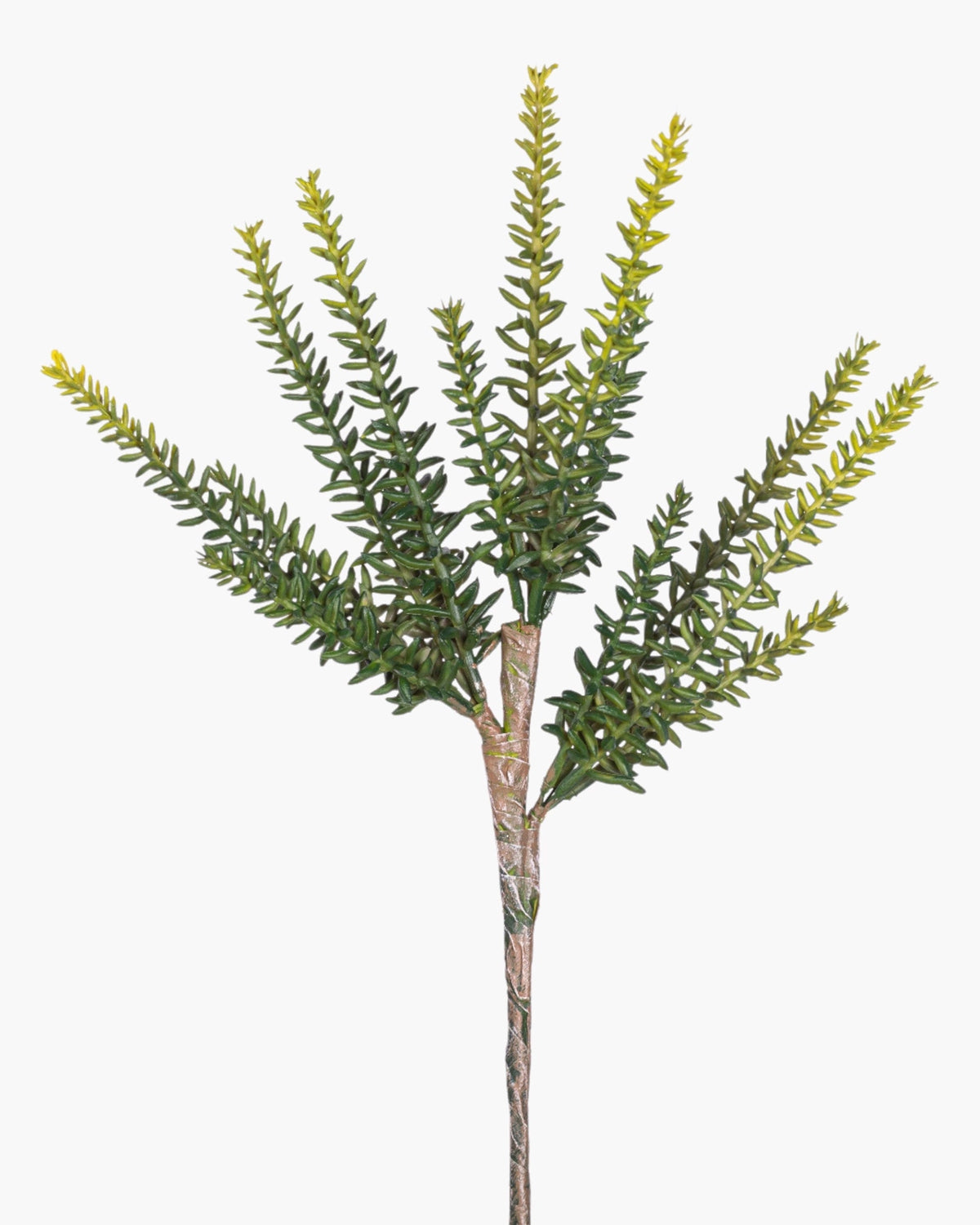 Lifelike green multi-head succulent stem by The Faire, perfect for indoor decor from Bungalow Furniture &amp; Accessories.