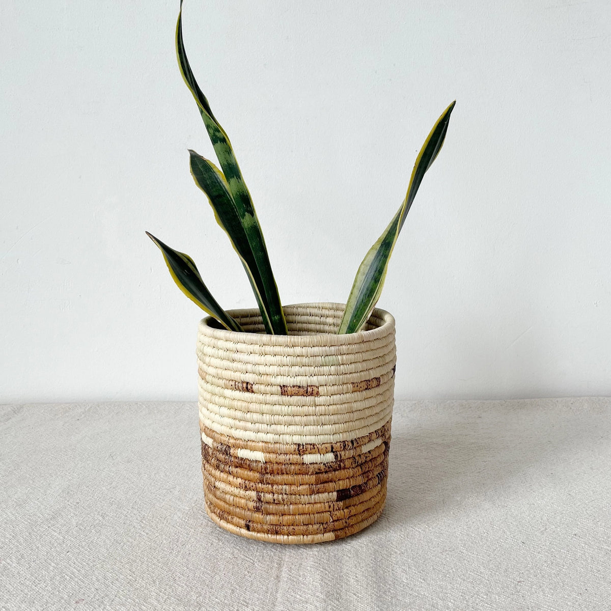 Snake plant with three leaves in a Faire Mkongo basket on light fabric, minimal modern decor for living spaces.