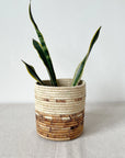 Snake plant with three leaves in a Faire Mkongo basket on light fabric, minimal modern decor for living spaces.