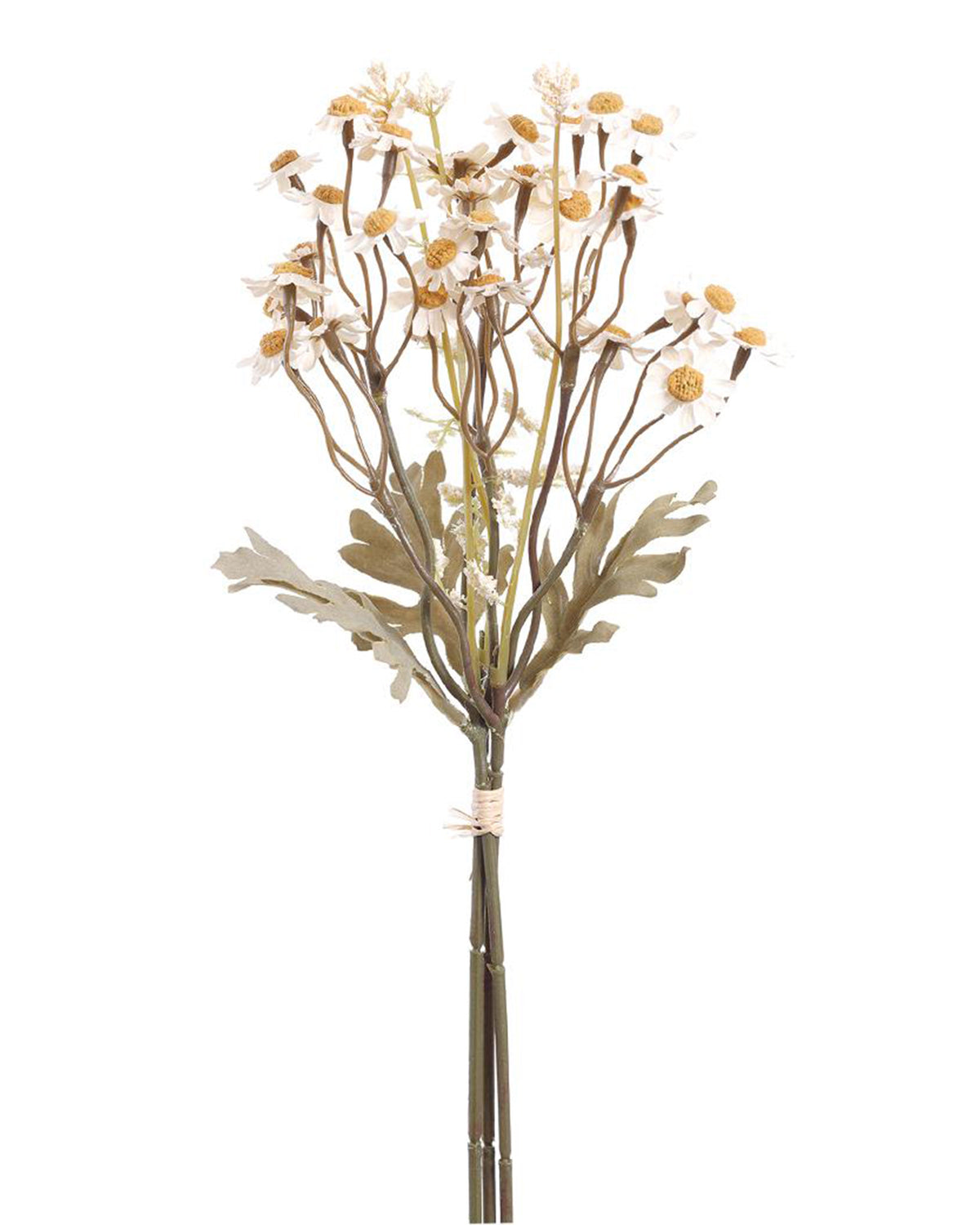 13″ faux cream dried daisy bundle with twine tie from Bungalow Furniture &amp; Accessories.
