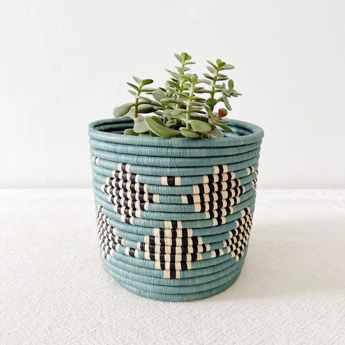 A succulent sits in Faire's Blue Storage Plant Basket: Mifuti, a handmade Rwanda woven planter with teal, black, and cream geometric patterns, displayed on a light surface against a plain white background.
