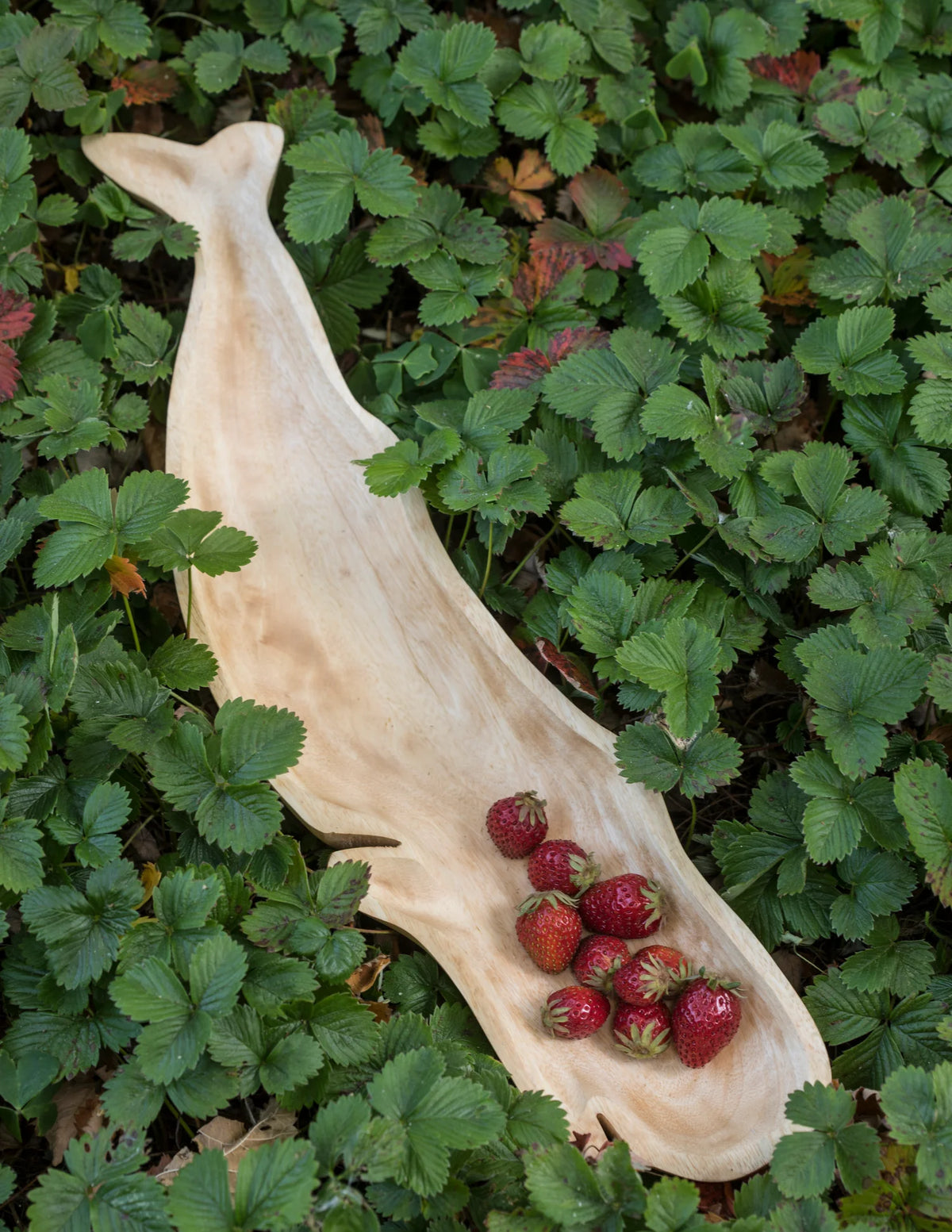 Mango wood whale-shaped dish with strawberries by Be Home, styled among fresh strawberry plants and leaves.