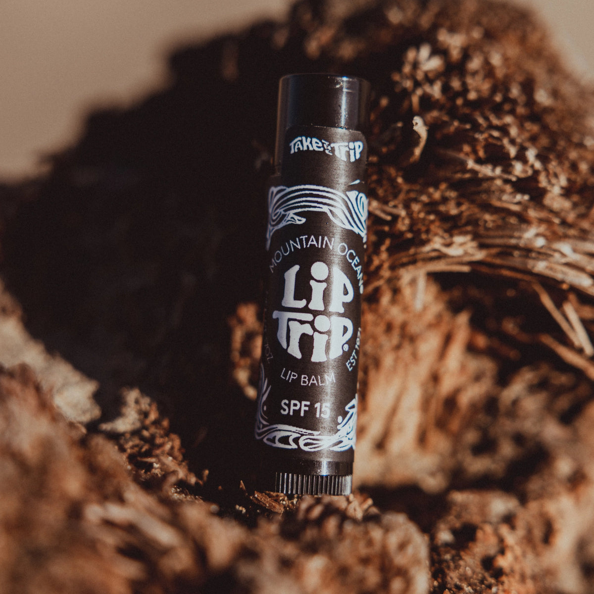 A black tube of Faire Lip Trip SPF stands upright on a textured brown surface, softly lit by sunlight for outdoor lip protection.