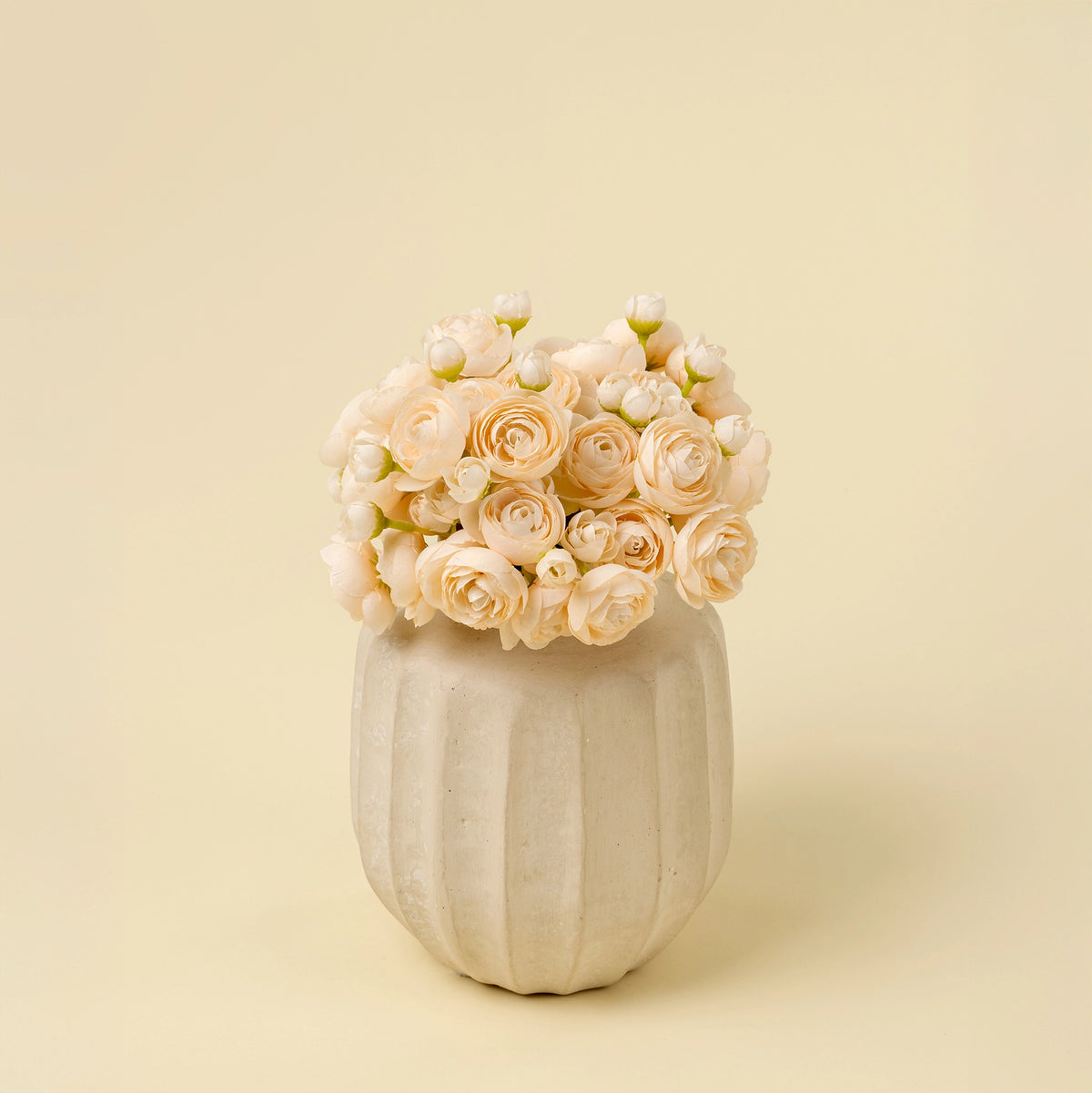 Cream ranunculus bouquet in a textured, ribbed ceramic vase by Bungalow Furniture &amp; Accessories.