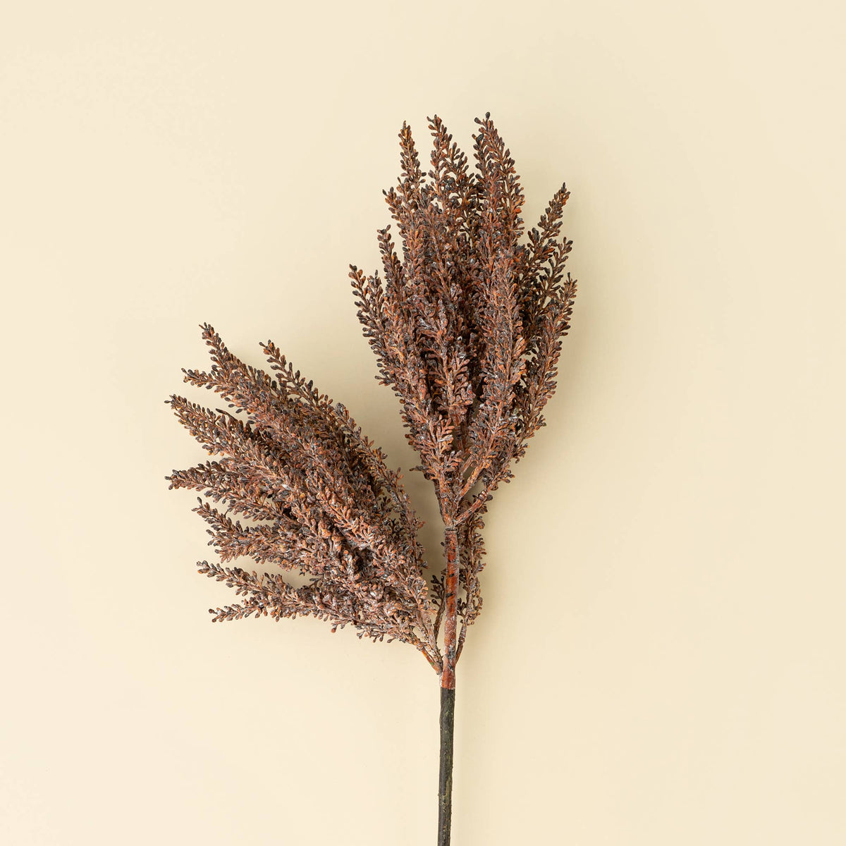 Autumn Grain Spray branch with clustered leaves, beige accent decor by Faire for Bungalow Furniture & Accessories.