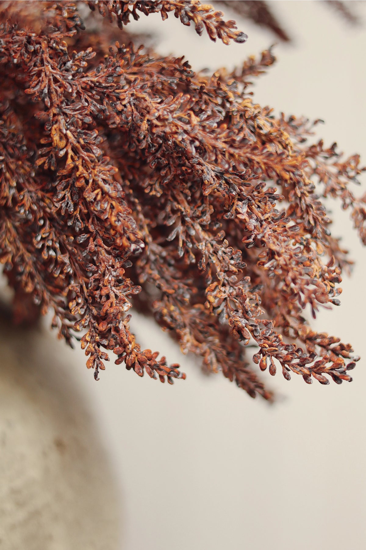 Autumn grain spray with needle-like leaves from Faire, ideal for textured home decor at Bungalow Furniture & Accessories.