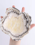 Mexican Onyx yellow and white zebra-striped bowl by Faire, bold pattern, shown in hand against a white background.