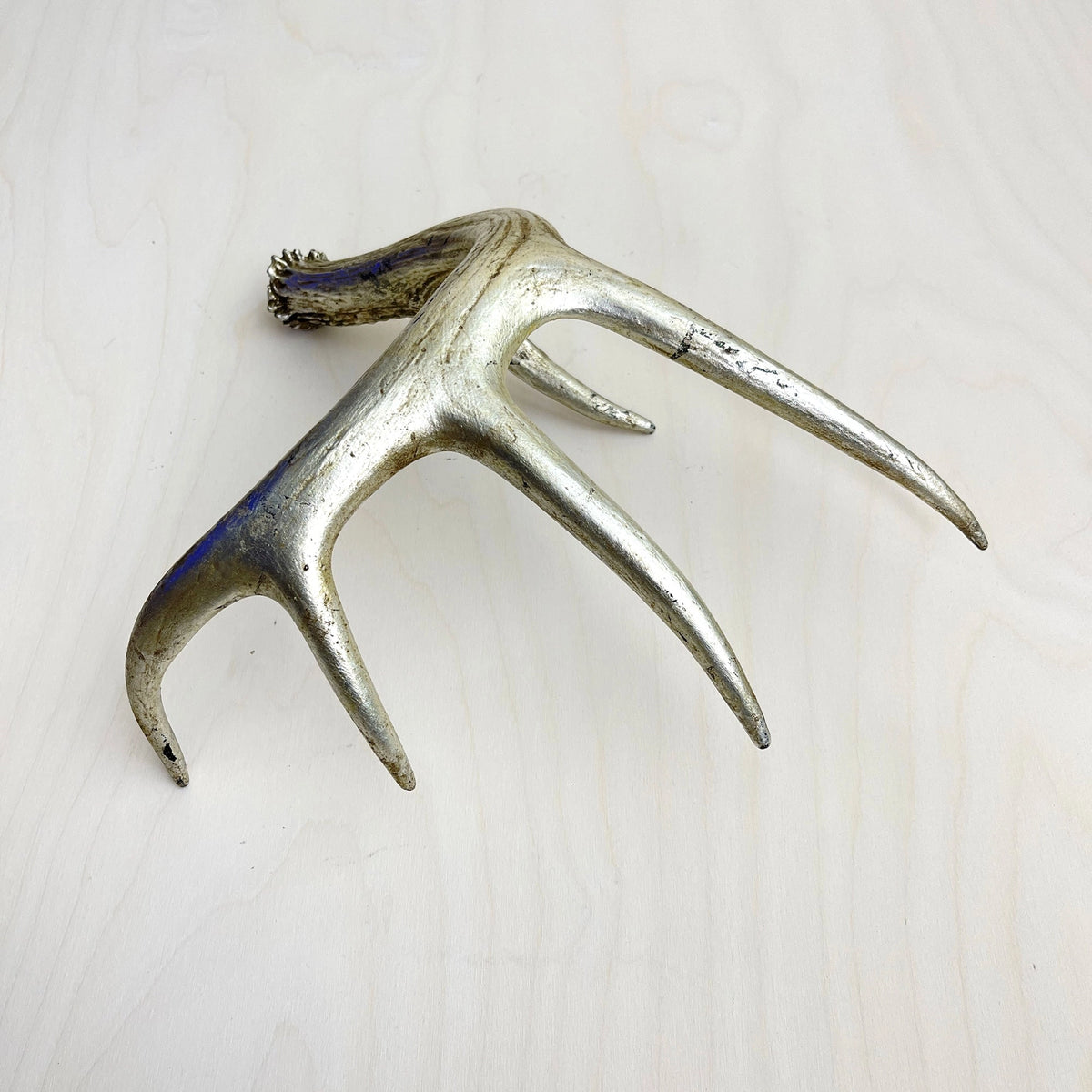Gilded four-point antler accent by Bungalow Furniture adds rustic charm and unique style to your decor.