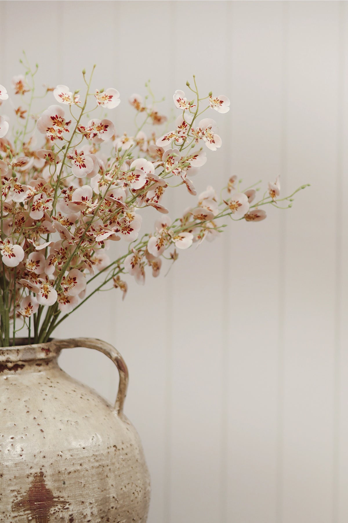 Wild Orchid Spray by Faire in a rustic ceramic vase on light paneled walls, styled for elegant living spaces.