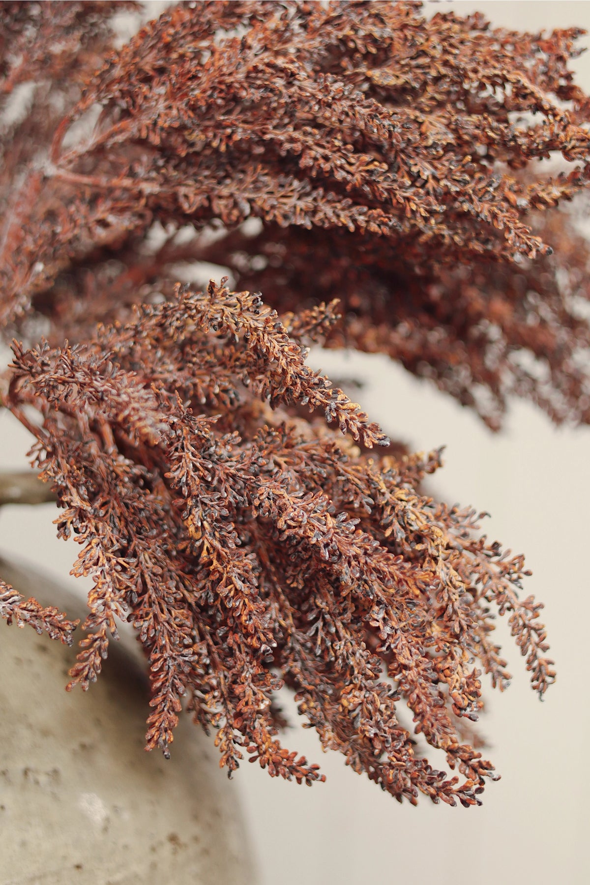 Autumn Grain Spray stems in a vase by Faire, adding textured decor to neutral home settings.