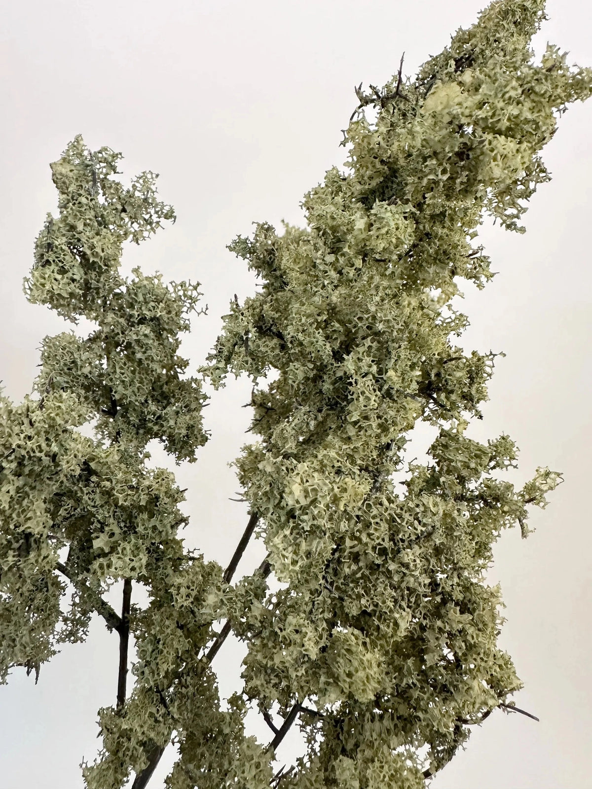33-inch sage green faux moss spray with a realistic textured stem by Bungalow Furniture &amp; Accessories.