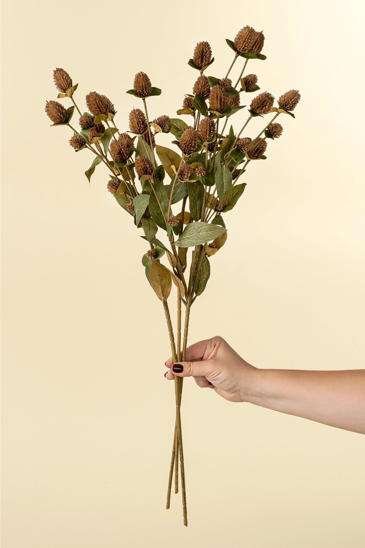 A hand with dark nail polish holds Indaba's Globe Amaranth Spray, featuring dry brown thistle-like faux botanicals and green leaves, set against a plain beige background.