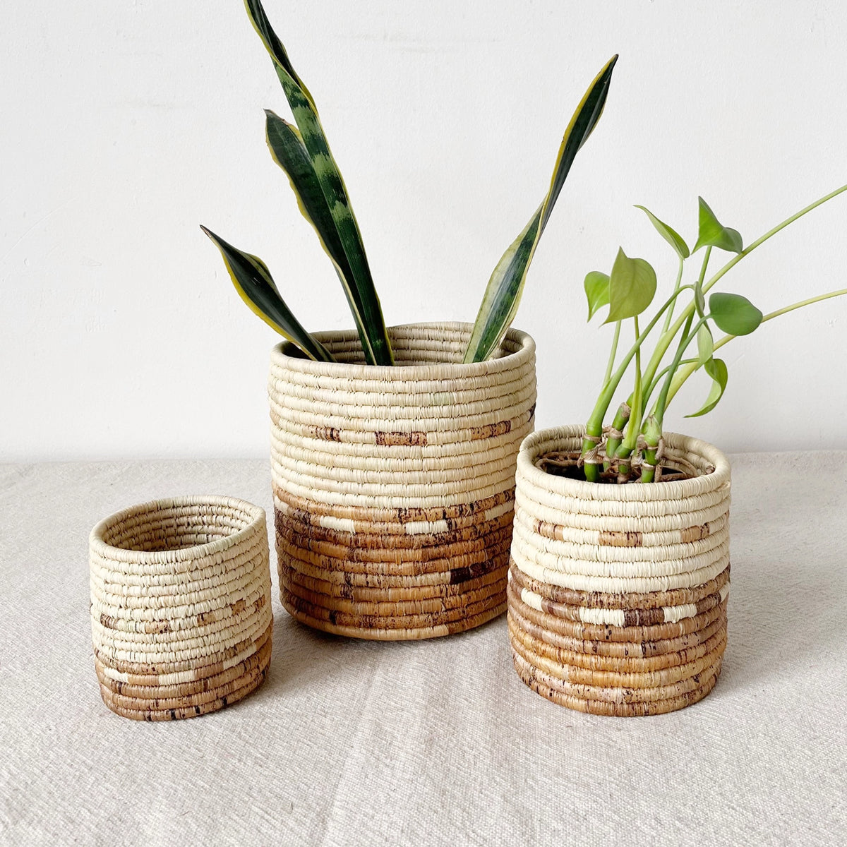 Set of three Mkongo plant baskets by Faire on beige fabric, two holding green plants; minimal, natural decor style.