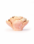 The Faire Peach Pink Peony is a small ceramic bowl with layered petals and a glossy finish, designed to resemble a blooming peony—perfect as tabletop decor or to enhance your ceramic flower collection.