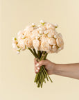Lifelike cream Ranunculus bouquet held by hand, Bungalow Furniture & Accessories.