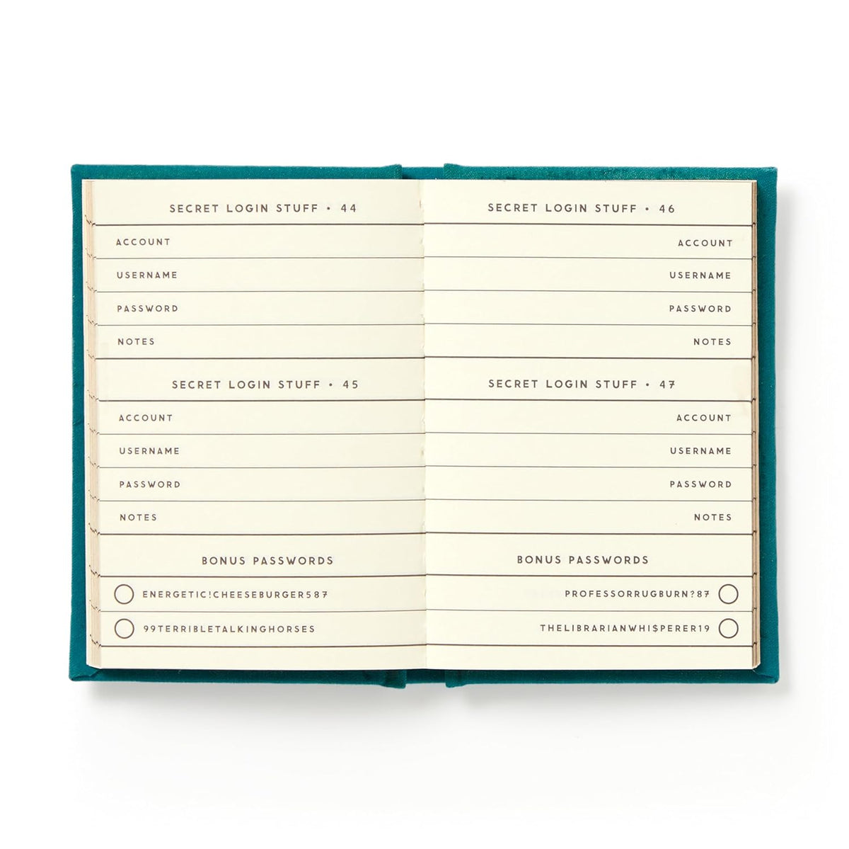 Compact “Definitely Not My Passwords” book with lined pages, Hachette Book Group, for organizing account info securely.