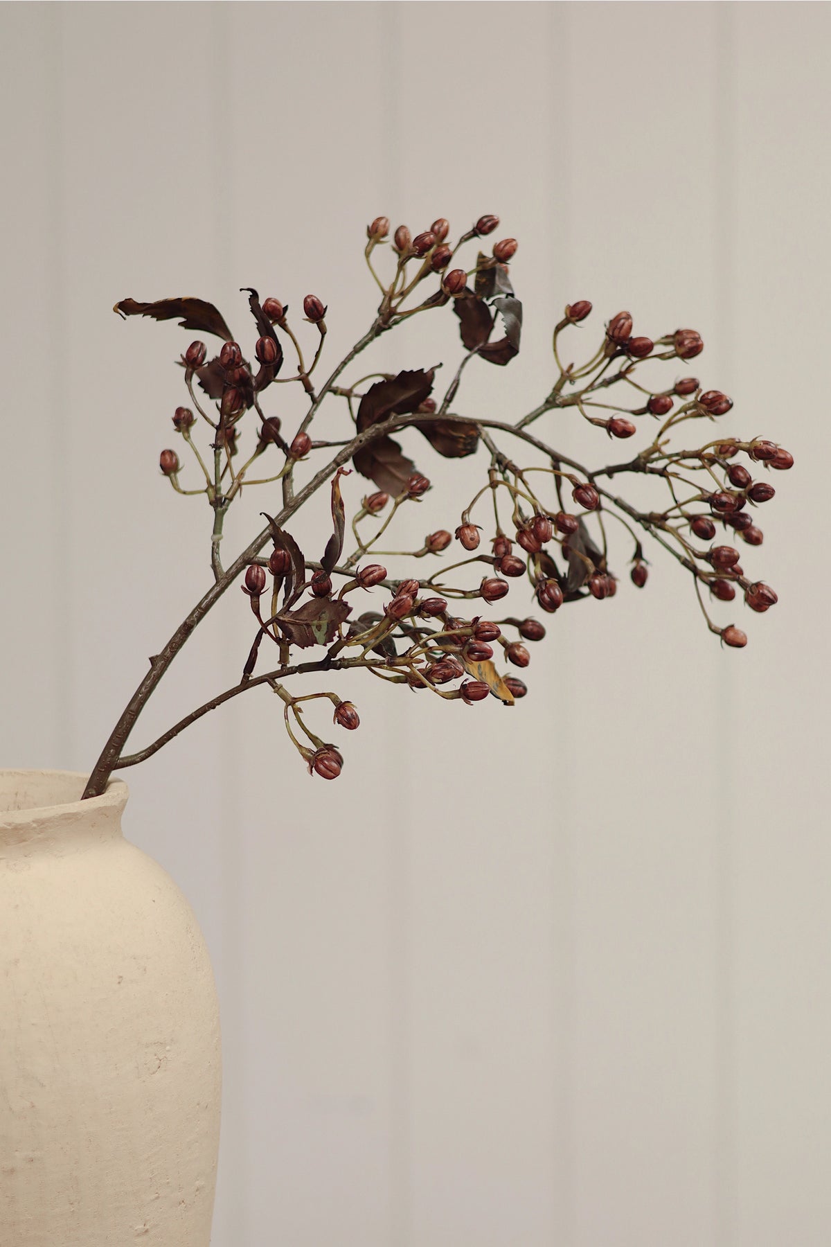 A cream ceramic vase holds dried dark leaves and Faire Hipericum Spray buds, creating understated home decor against a plain light background.