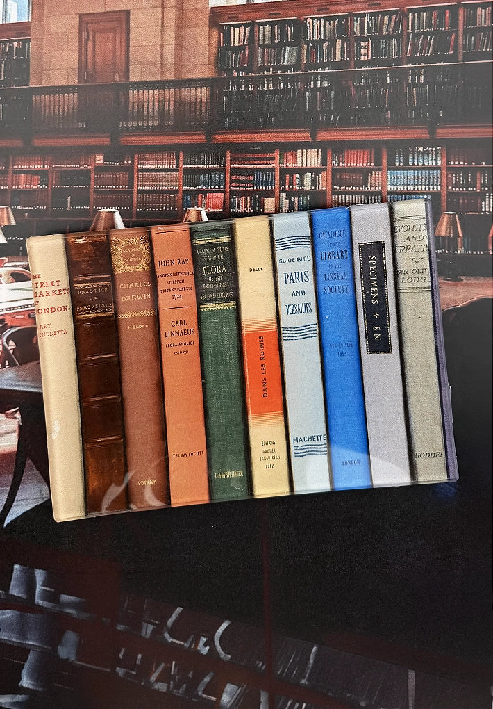 Colorful vintage books upright on a glass tray, styled for Bungalow Furniture & Accessories library decor.