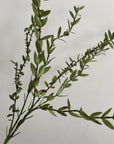 28.5-inch Faux Myrtle spray featuring small green leaves on thin reddish stems from Bungalow Furniture & Accessories.