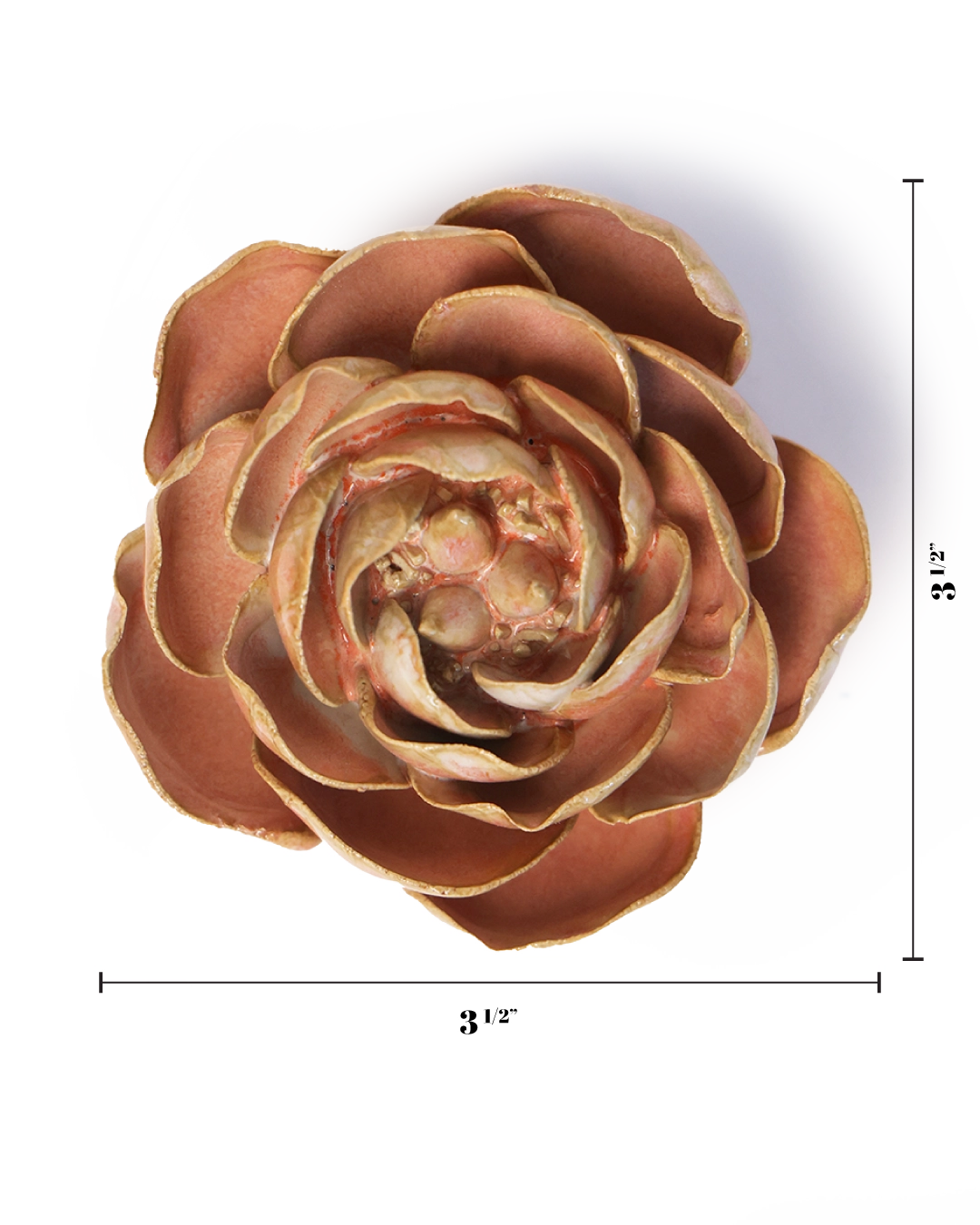 The Faire Peach Pink Peony is an artificial ceramic succulent flower with gold-tipped petals, shown from above. At 3.5 inches wide and tall, it's perfect for tabletop or wall decor, as indicated by black measurement lines.