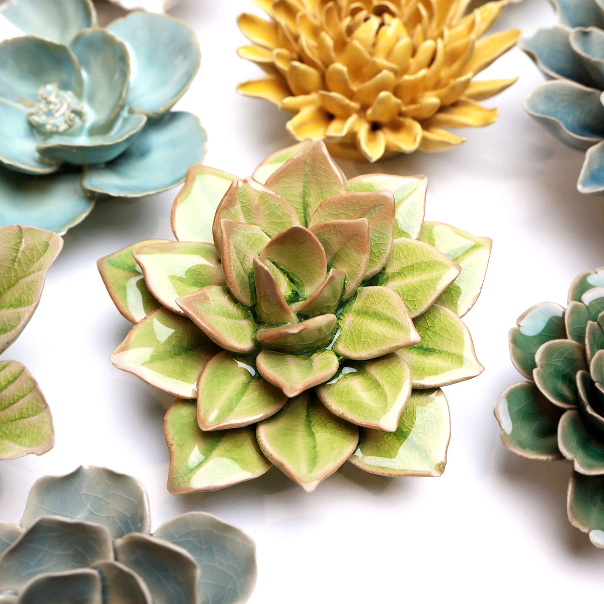 The Faire Green Fairy Echeveria features layered green leaves with pink edges, reminiscent of a succulent—perfect as pottery wall decor. Displayed on a white background alongside assorted coastal ceramic flowers in green, yellow, and blue.