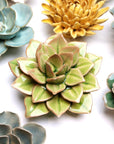 The Faire Green Fairy Echeveria features layered green leaves with pink edges, reminiscent of a succulent—perfect as pottery wall decor. Displayed on a white background alongside assorted coastal ceramic flowers in green, yellow, and blue.