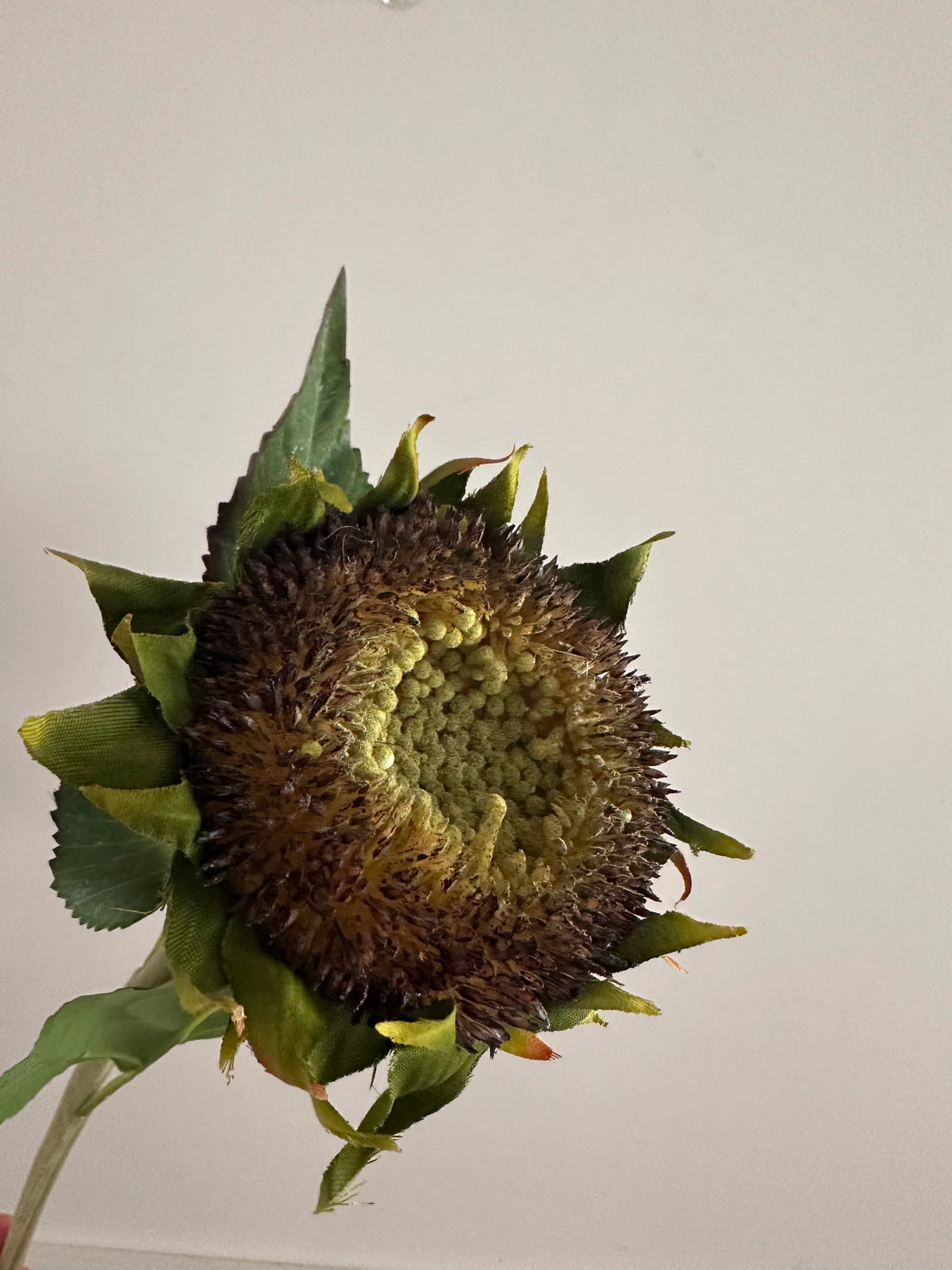 28″ faux sunflower stem with green petals and a textured dark brown center from Bungalow Furniture &amp; Accessories.