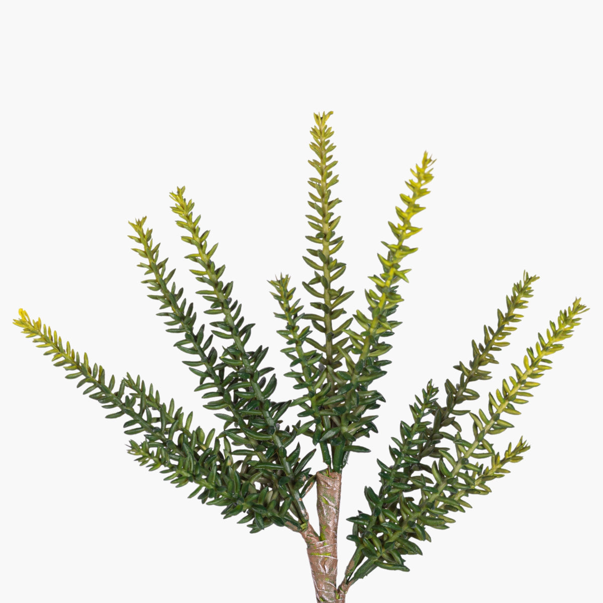 Multi-head succulent stem with pointed leaves by Faire, perfect for modern indoor decor, shown on a white background.