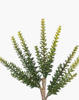 Multi-head succulent stem with pointed leaves by Faire, perfect for modern indoor decor, shown on a white background.